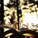 tumblr_letbfoVb6E1qam9d1o1_500