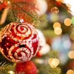 christmas-xmas-christmas-tree-mommyjammi