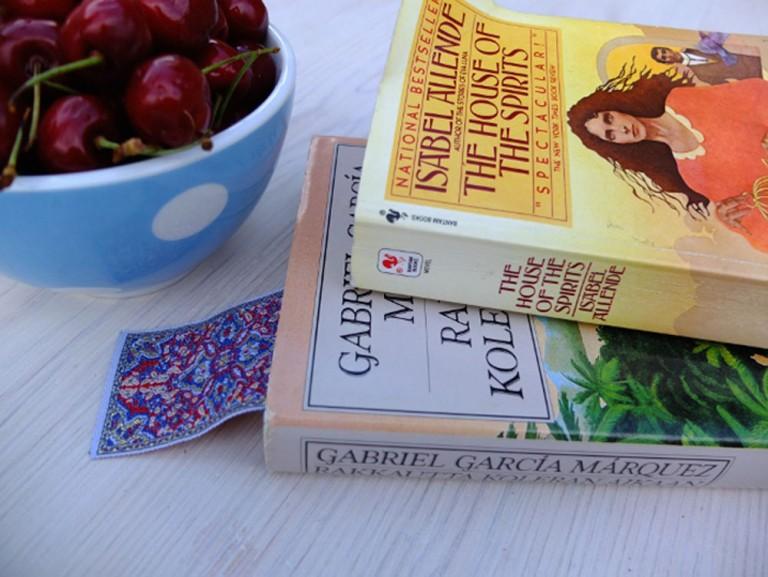 Ιζαμπέλ Αλλιέντε, Το Σπίτι των Πνευμάτων