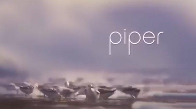 Piper ταινία μικρού μήκους για το πως να ξεπεράσεις τους φόβους σου VIDEO