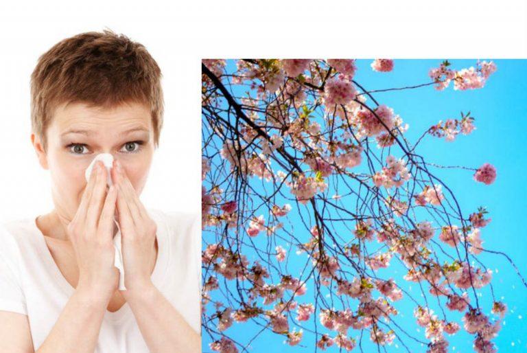 Μισώ τις ανοιξιάτικες αλλεργίες! Οδηγός επιβίωσης!