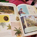 atlantas-gia-paidia-3-tyxeroi-tha-kerdisoun-to-vivlio-pou-tha-epileksoun-mommyjammi5