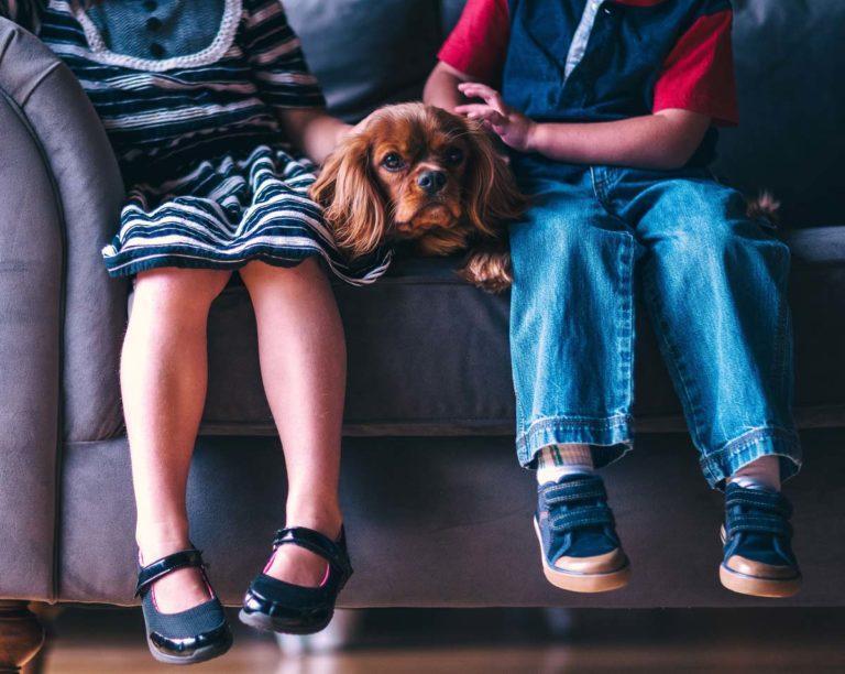 Ψωνίστε έξυπνα βρίσκοντας τις πιο συμφέρουσες προσφορές!