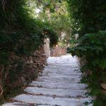 andros-mia-volta-sto-pio-prasino-nisi-tou-aigaiou-mommyjammi13