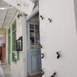 andros-mia-volta-sto-pio-prasino-nisi-tou-aigaiou-mommyjammi35