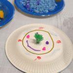 paidikes-kalokairines-xeirotexnies-me-piata-mommyjammi15