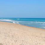 sea back