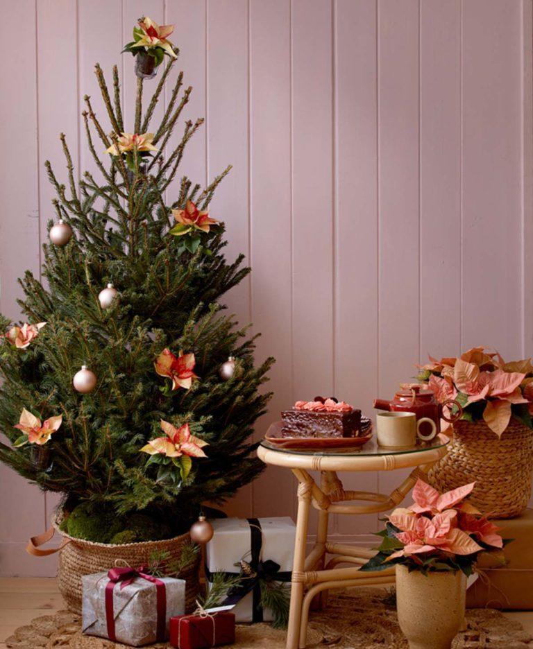 Πρωτότυπα χριστουγεννιάτικα δέντρα με Αλεξανδρινό