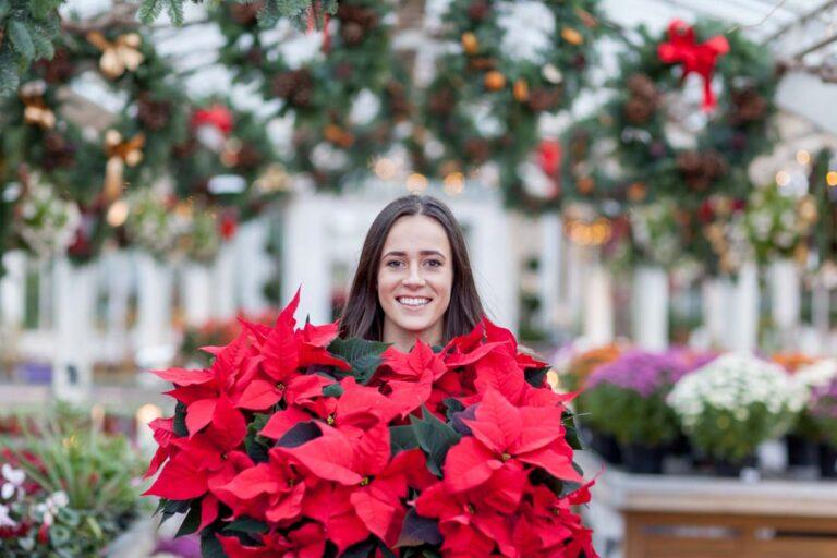 Ζήστε τη μαγεία των Χριστουγέννων με ένα Αλεξανδρινό