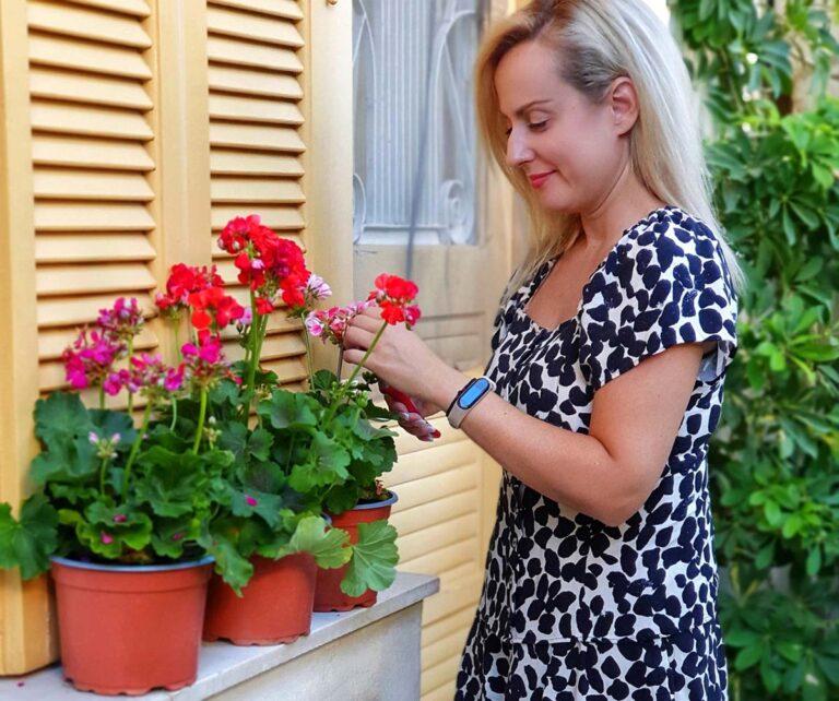 Συμβουλές περιποίησης και διακόσμησης με γεράνια