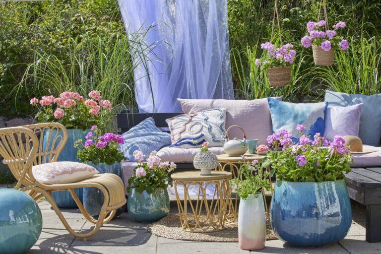 Η εποχή του γερανιού έφτασε! Βασικές συμβουλές φύτευσης και φροντίδας