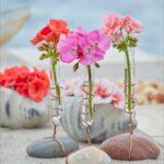 idees-gia-epitrapezie-kai-giortines-diakosmiseis-me-gerania-mommyjammi8