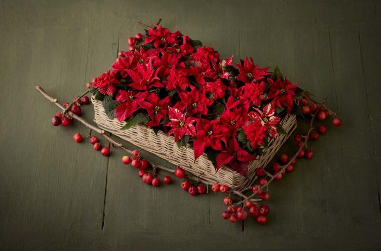 Αλεξανδρινά: Μοναδικές DIY ιδέες για δώρα