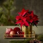 monadikes-diy-idees-gia-dwra-mommyjammi7