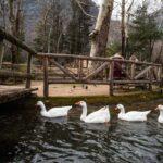 palaios-agios-athanasios-to-stolidi-tis-makedonias-mommyjammi15