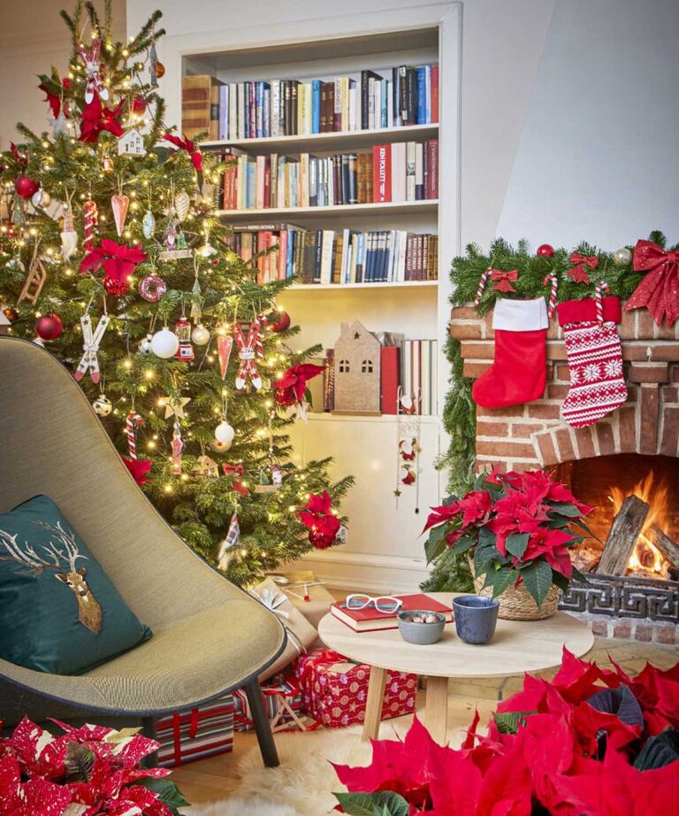 Αλεξανδρινό: Ο πρωταγωνιστής της χριστουγεννιάτικης διακόσμησης