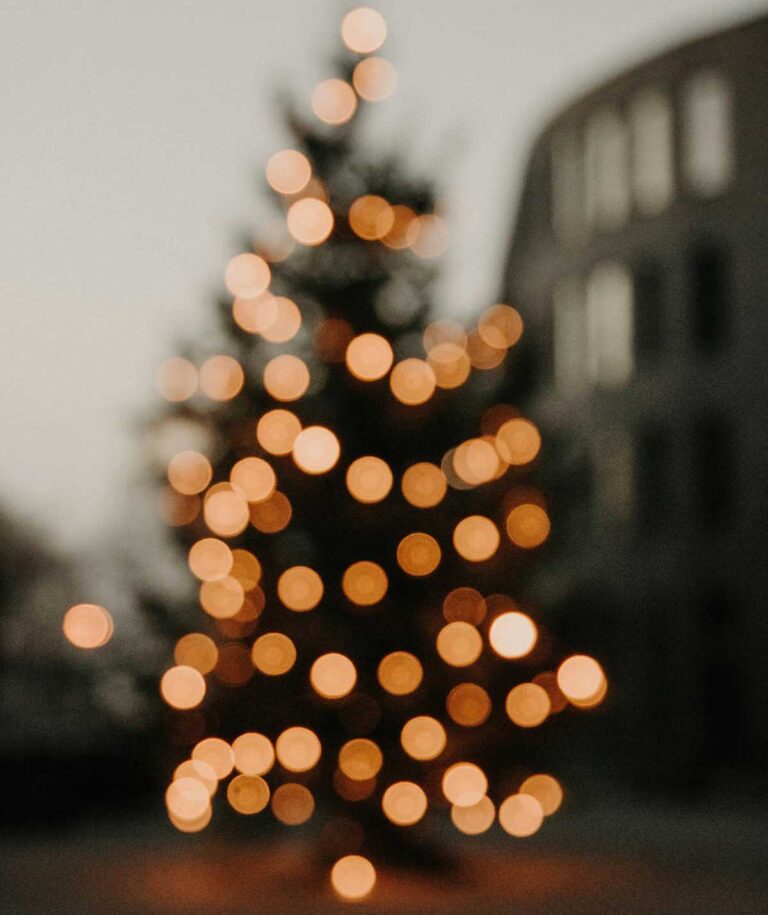 Εβδομαδιαίες προβλέψεις από 2/12 έως 8/12/2024