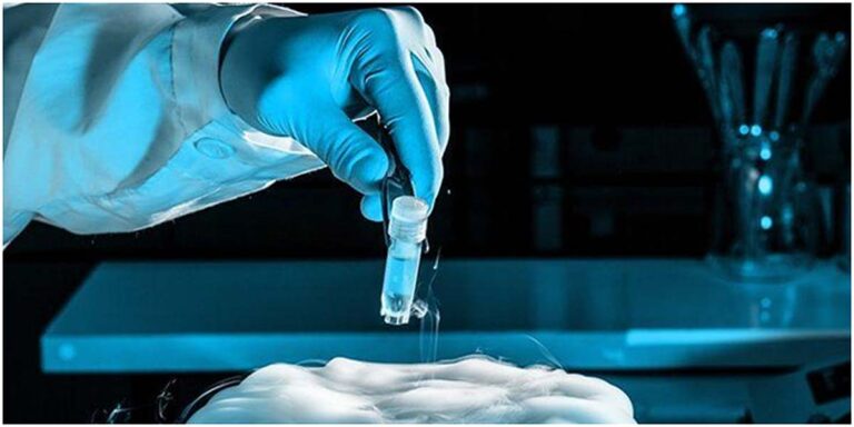 Κρυοσυντήρηση ωαρίων και εξωσωματική: Ένα σημαντικό βήμα στην υποβοηθούμενη αναπαραγωγή