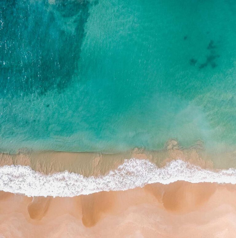 Μηνιαίες Προβλέψεις Αυγούστου 2025