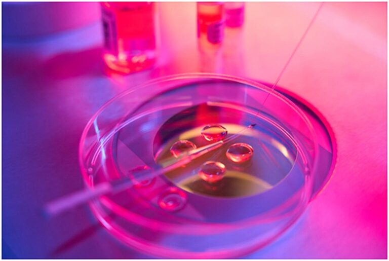 Κατάψυξη ωαρίων – Πότε έχει νόημα και για ποιες γυναίκες;